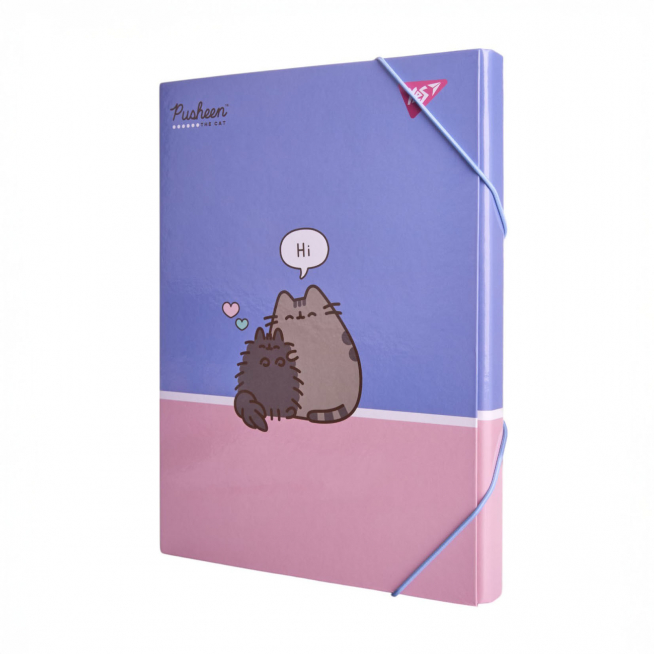 Папка для праці А4 «Pusheen» на резинці картонна