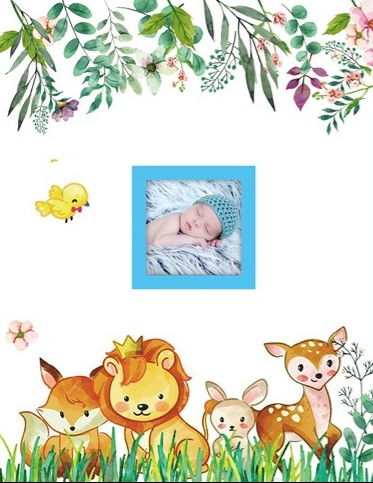 Фотоальбом 10×15×200 Baby boys