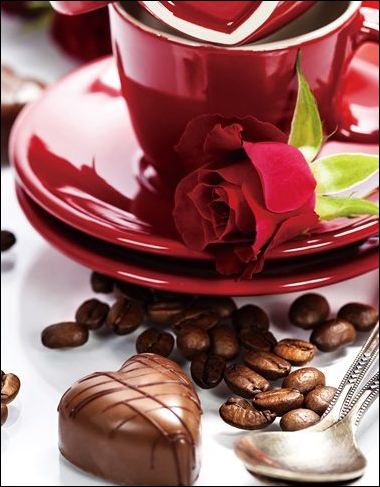 Фотоальбом 10×15×200 Chocolate