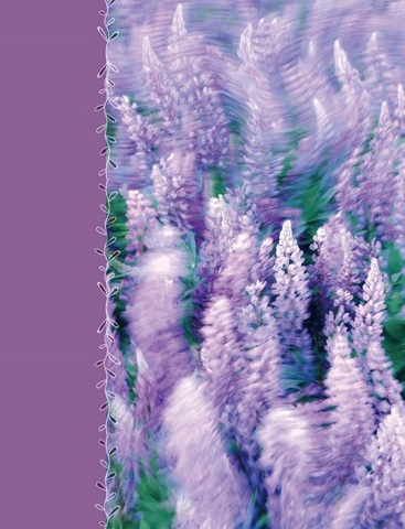 Фотоальбом 10×15×200 Lavenders