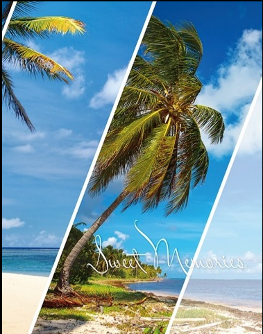 Фотоальбом 10×15×200 Paradise