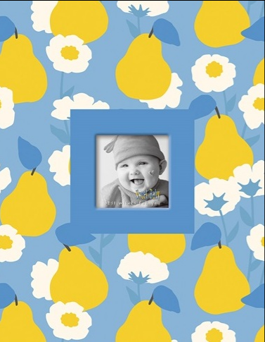 Фотоальбом 10×15×200 Pear