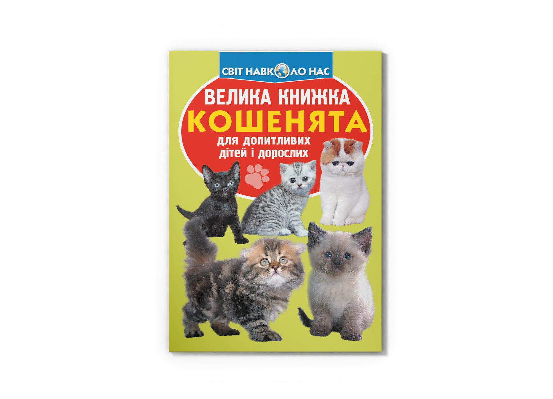 Книжка В4 «Велика книжка. Кошенята» м'яка обкладинка