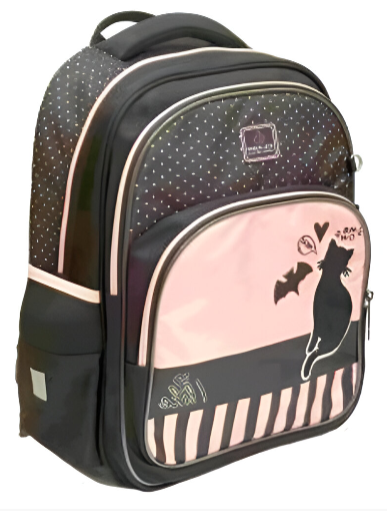 Рюкзак каркасний «School Case» Black Cat 2 відділення 3карм, 39×29×16см