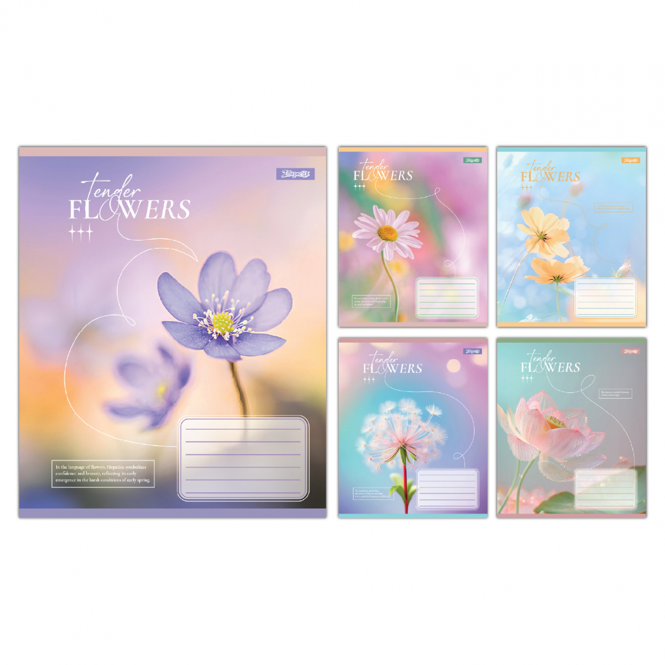 Зошит 12 аркушів клітинка 1В Tender Flowers
