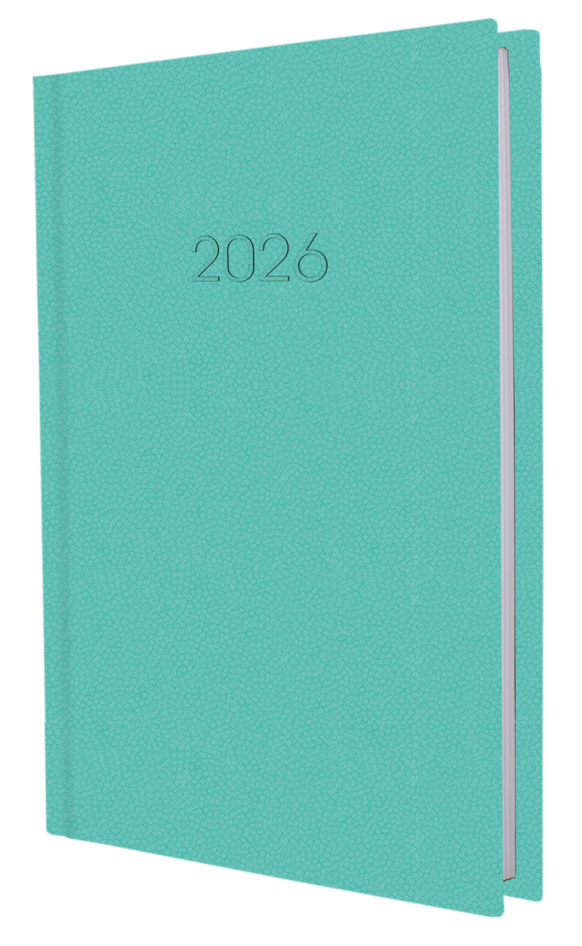 Щоденник A5 датований 2025 Confetti бірюзовий
