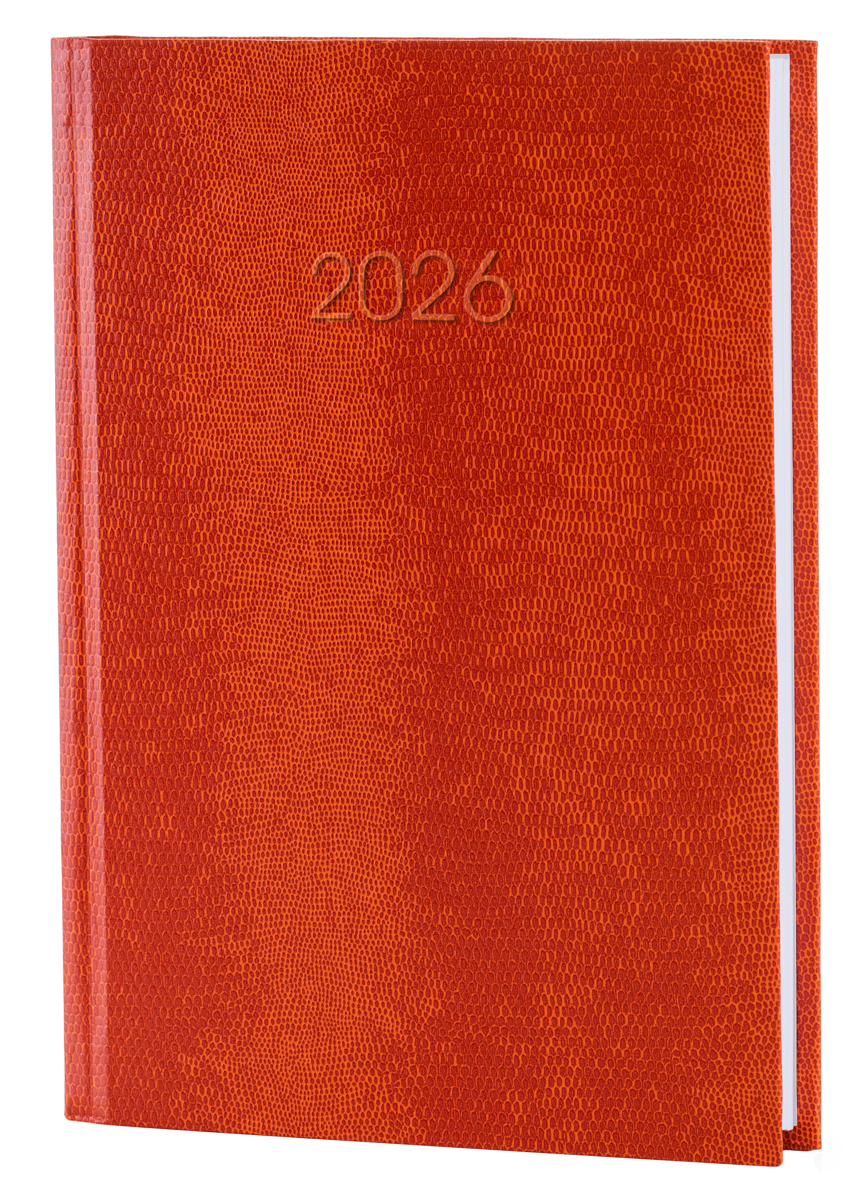 Щоденник А5 дат2026 Snake (змія) помаранчевий