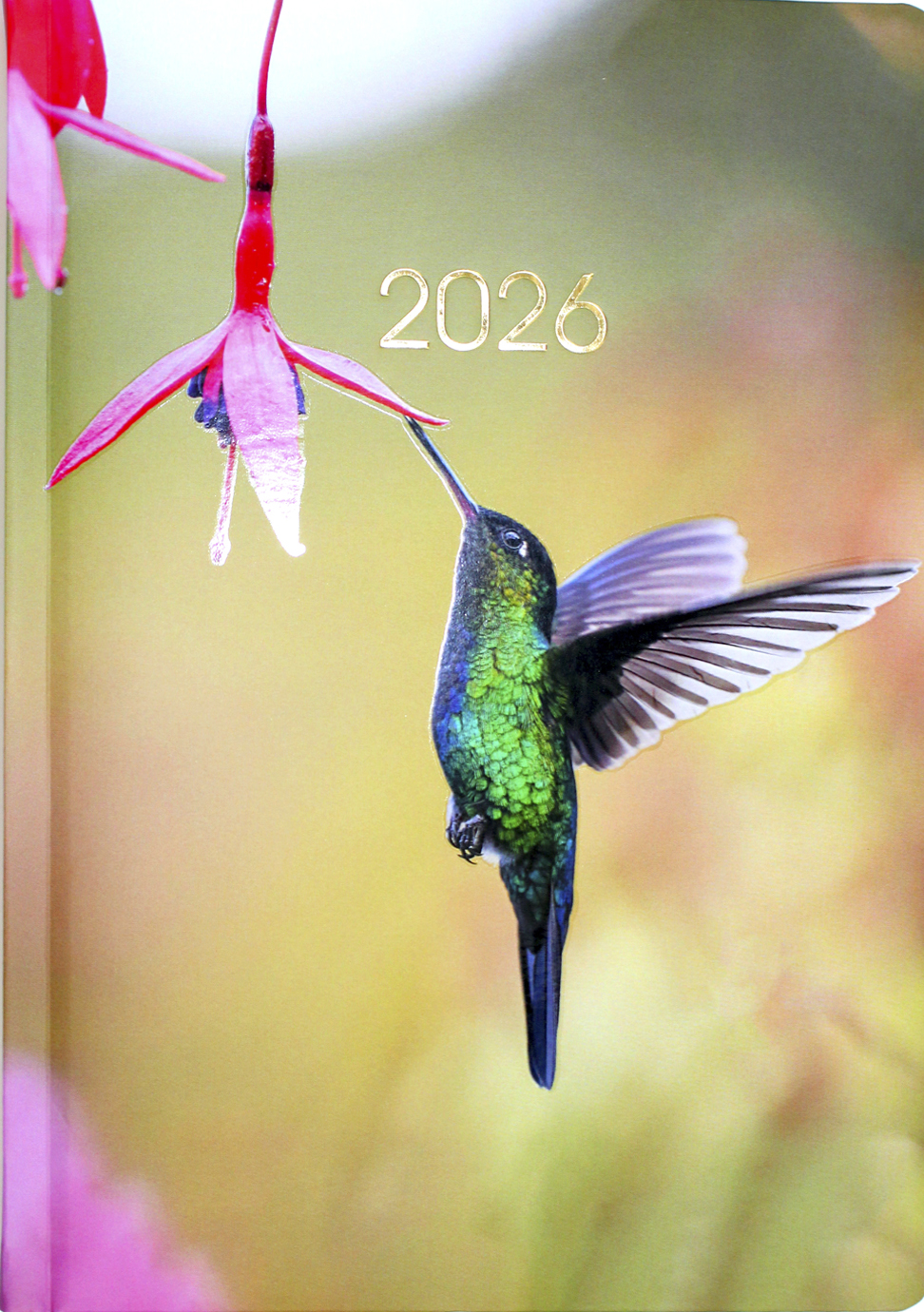 Щоденник А5 дат2026
