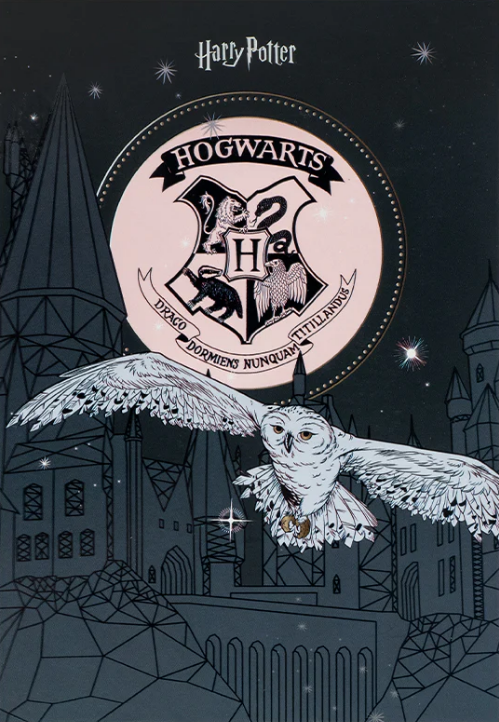 Блокнот А5 50 аркушів клітинка тверда обкладинка Harry Potter