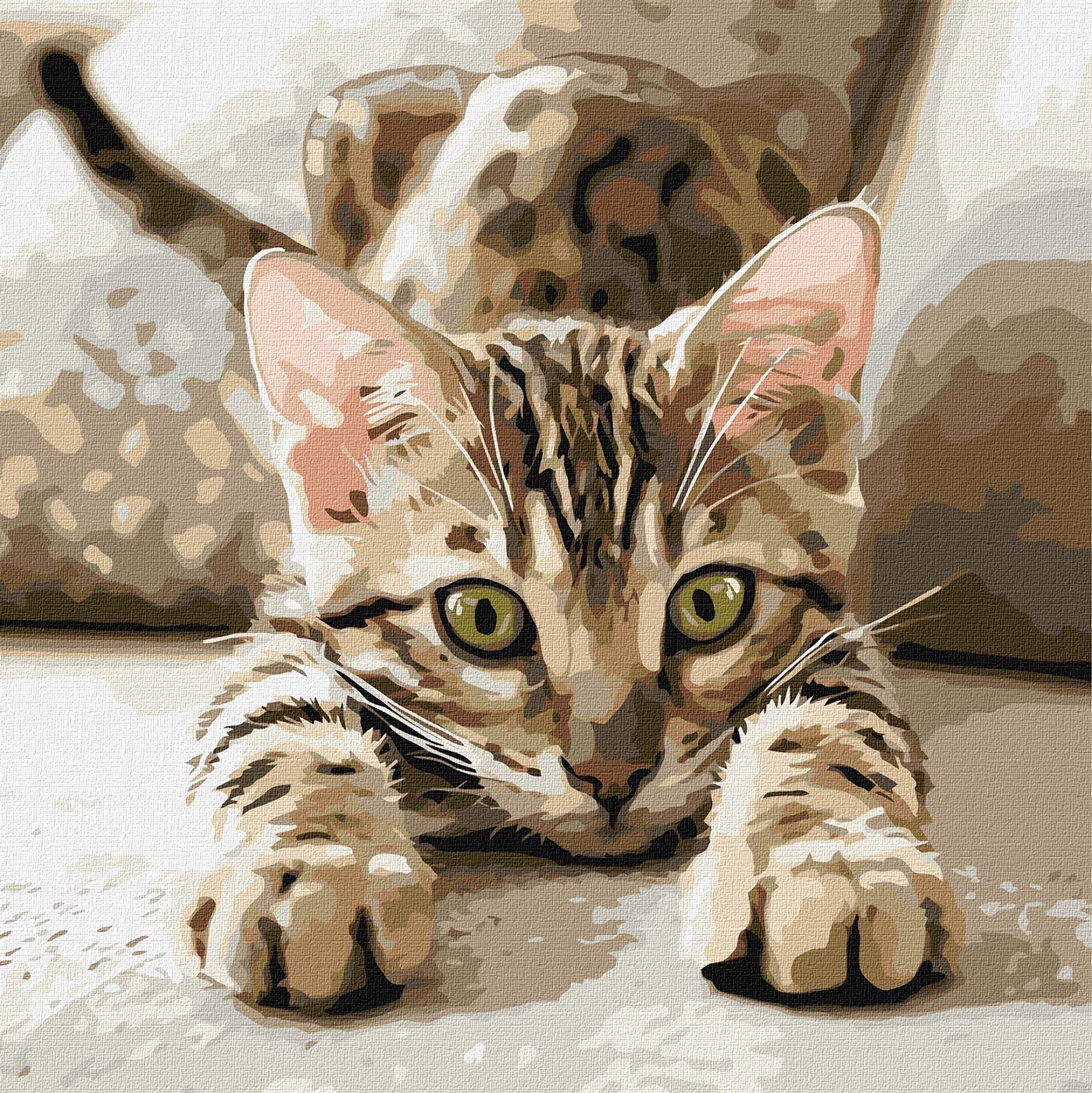 Картини по номерах акрилові «Грайливе кошеня» 40×40см