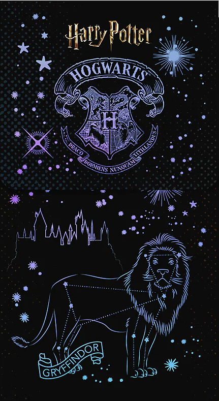 Блокнот А6 60 аркушів клітинка на магніті «Harry Potter»