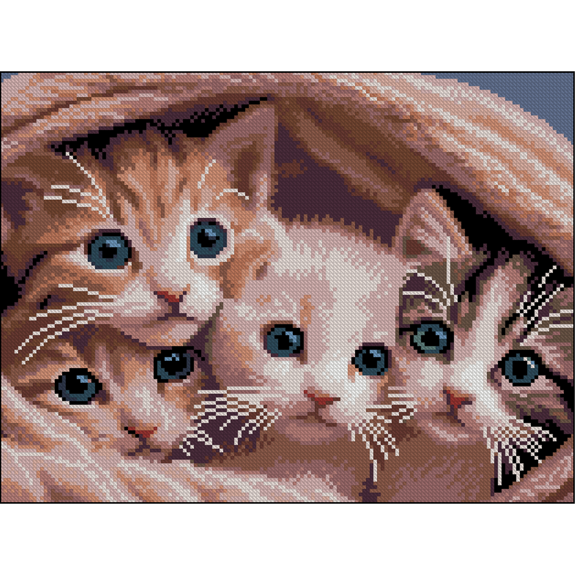 Алмазна мозаїка Милі кошенята 30×40см